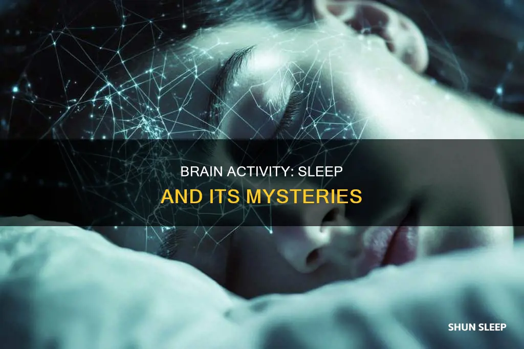 what happened to our brain when we sleep