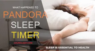 Pandora Sleep Timer: What Happened to This Feature?