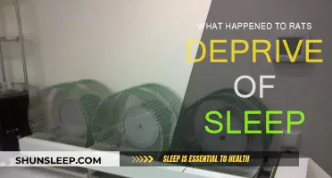 Sleep Deprivation: Rats' Performance and Health Impacted