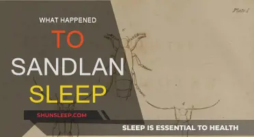 Sandland Sleep: What Went Wrong?