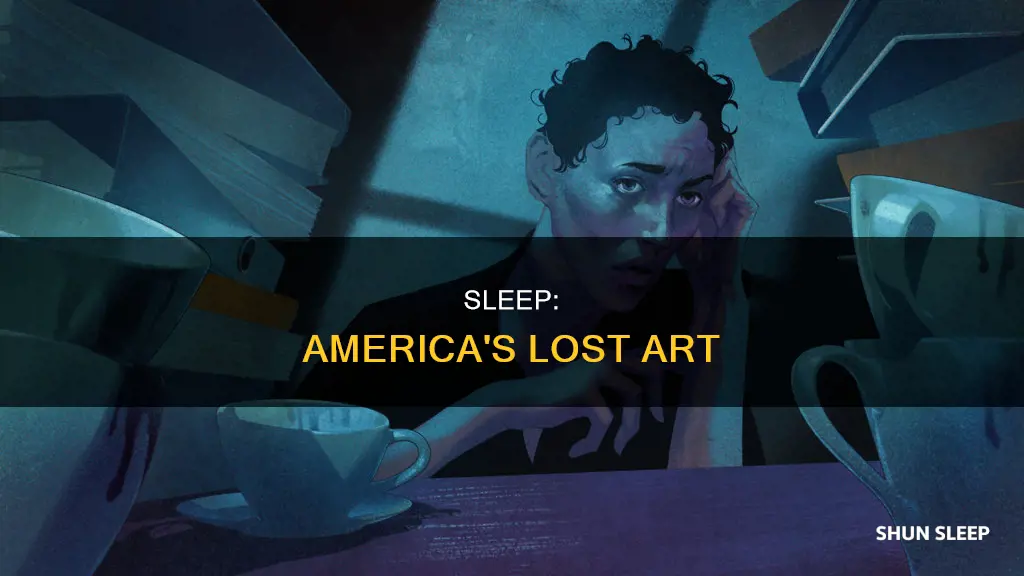 what happened to sleep america
