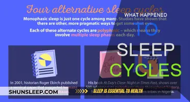 Sleep Cycles: A Journey Through Time and Rest