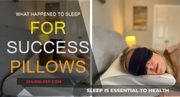 Sleep for Success Pillows: Where Are They Now?