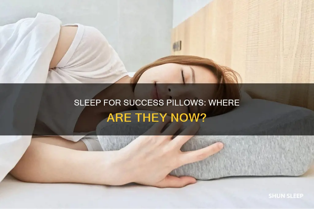 what happened to sleep for success pillows