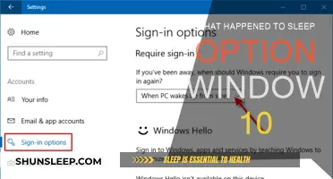 Sleep Option: Windows 10's Missing Feature Explained