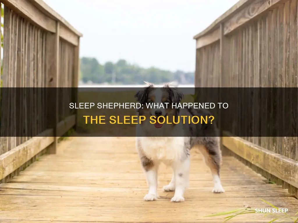 what happened to sleep shepherd