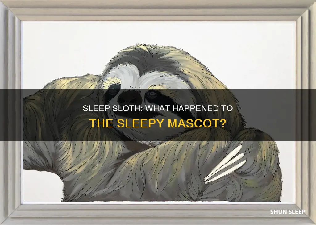 what happened to sleep sloth