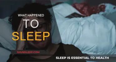 Sleep: A Lost Art in Modern Times