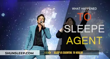 The Mystery of Sleeper Agents: What Happened?