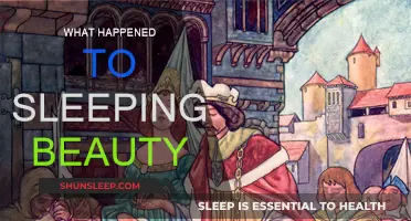 Sleeping Beauty: What Really Happened?