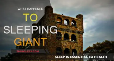 The Sleeping Giant: What Happened and Why?