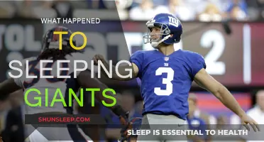 The Sleeping Giants: What Happened to the Movement?