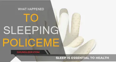 The Evolution of Speed Bumps: Sleeping Policemen's Past and Present
