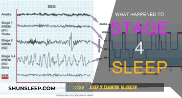 The Mystery of Stage 4 Sleep: What Happened?