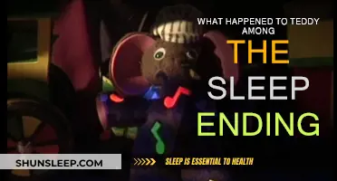 Teddy's Fate: Among the Sleep's Ending Explained