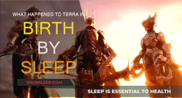 Terra's Fate in Birth by Sleep: Explained