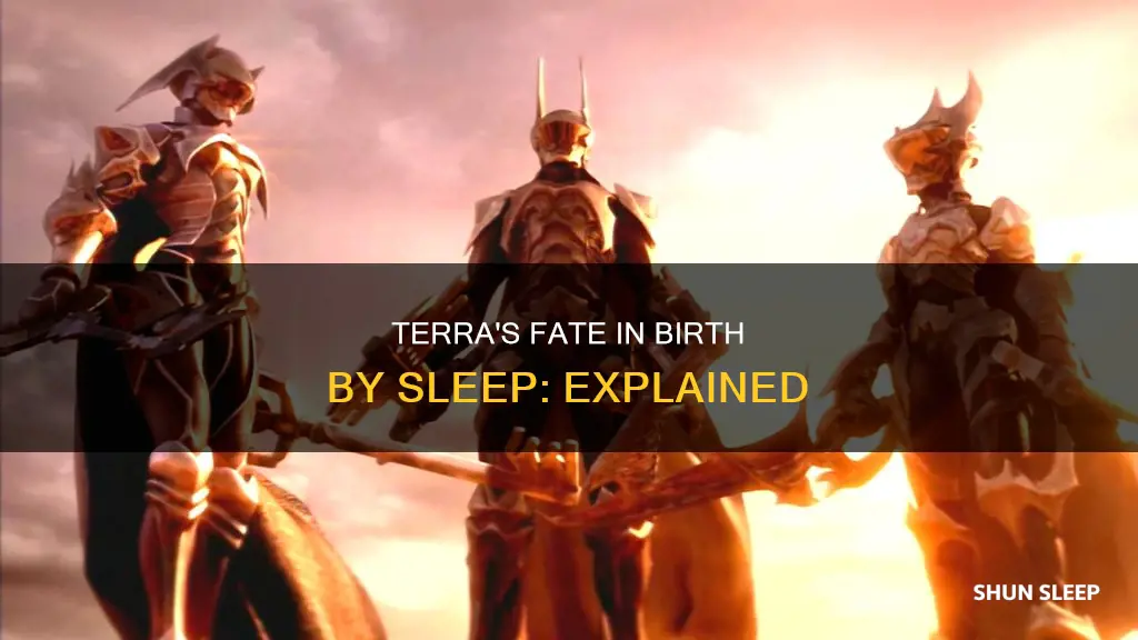 what happened to terra in birth by sleep