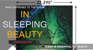 Sleeping Beauty's Queen: A Curse, A Mistake, A Redemption