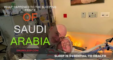The Sleeping Prince: Mystery of Saudi Arabia's Missing Monarch