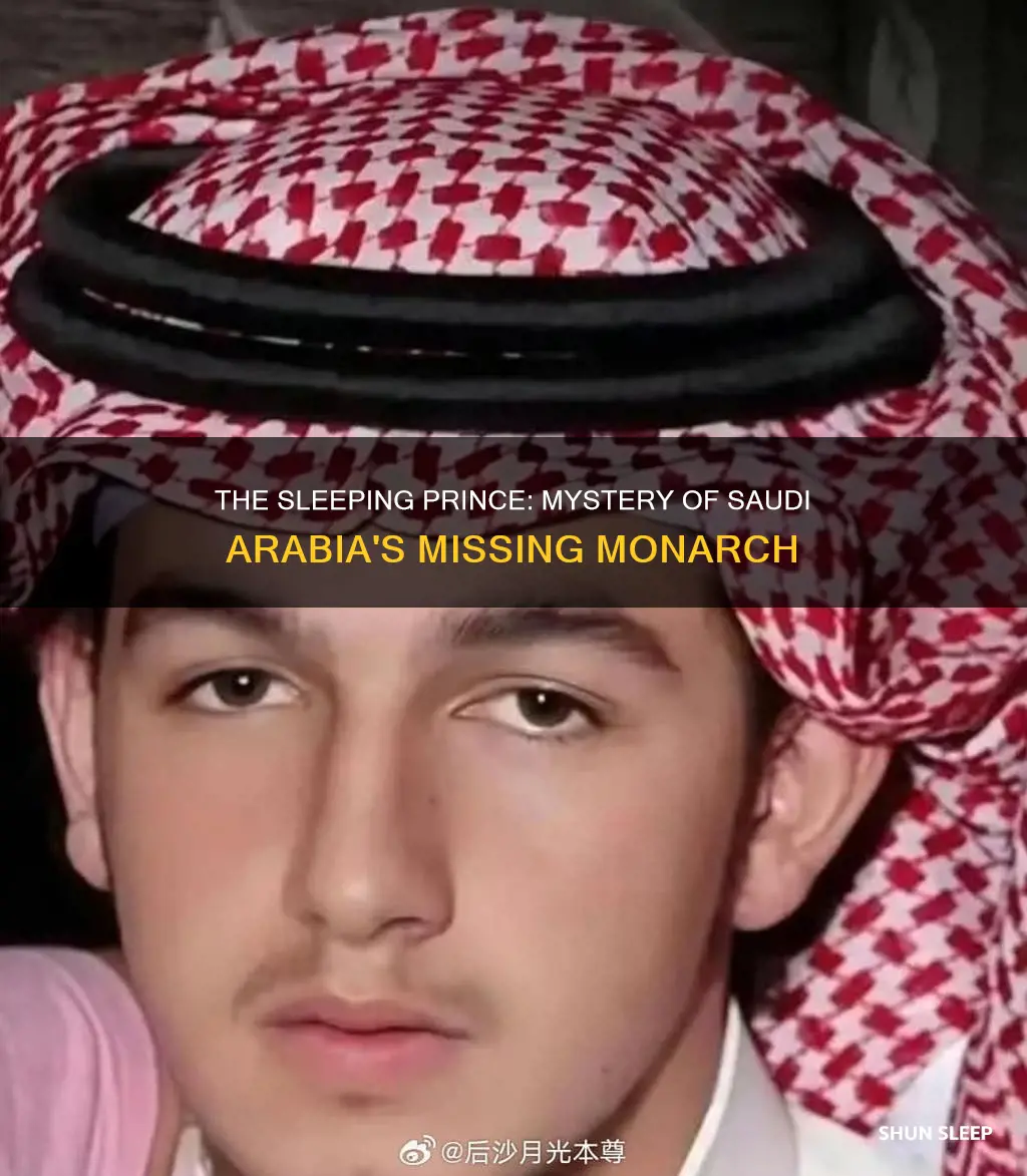 what happened to the sleeping prince of saudi arabia