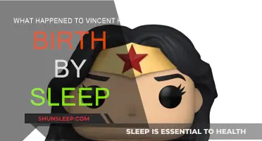 The Mystery of Vincent's Fate in Birth by Sleep
