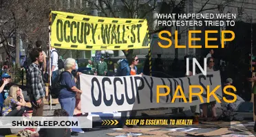 Protesters' Park Sleepovers: What Happened?