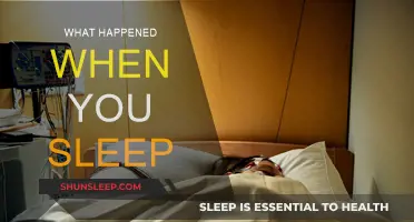 The Science of Sleep: Unraveling the Mystery