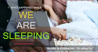 Sleep: A Journey to the Unknown