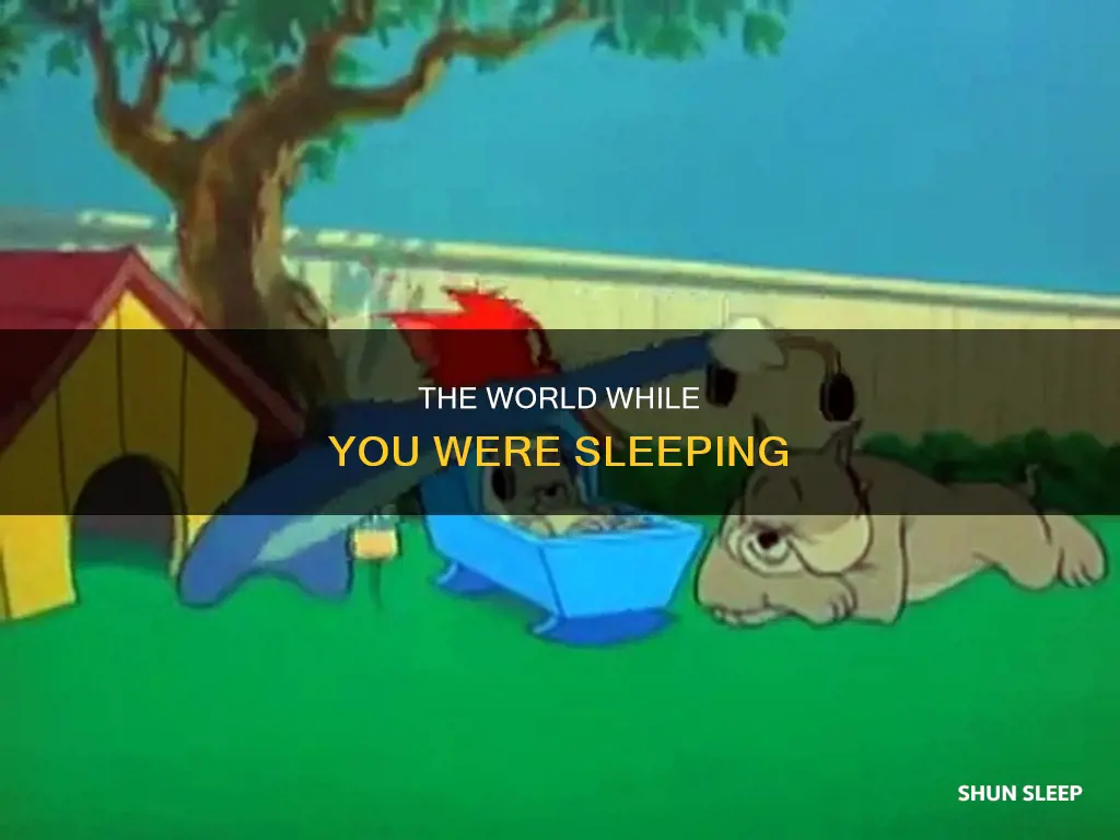 what happened while you were sleeping