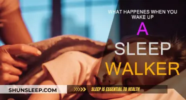 The Mystery of Waking Sleepwalkers