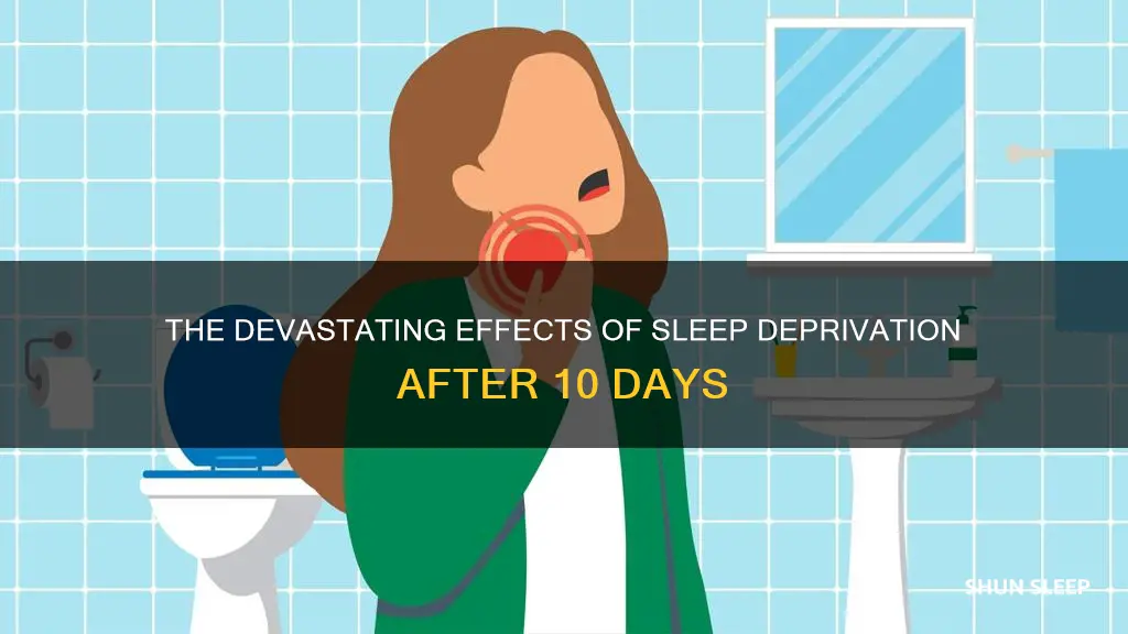 what happens after 10 days without sleep