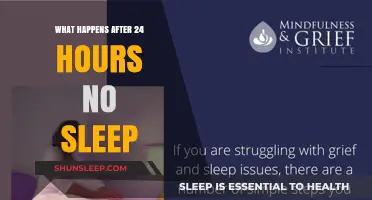 Sleepless in 24: Unraveling the Effects of a Day Without Rest