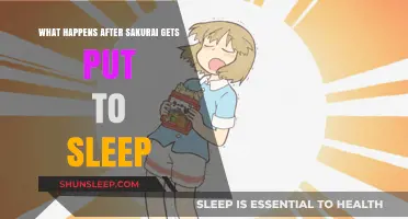 After Sakurai's Slumber: Unraveling the Consequences of His Deep Sleep