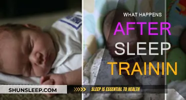 Sleep Training: What to Expect After You Start