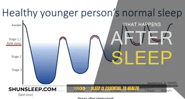 Sleep: What Happens After You Doze Off