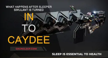 Cayde's Arsenal: Sleeper Simulant's Fate