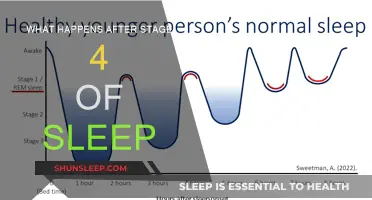 Exploring the Mysteries of Sleep's Fifth Stage