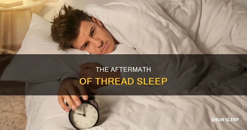 what happens after thread sleep