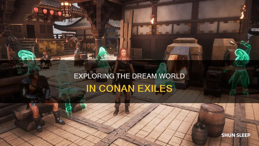 what happens after ur character sleeps conan exiles