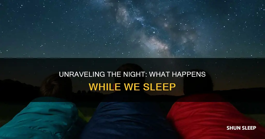 what happens around us when we sleep