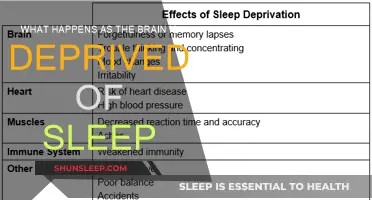 Sleep Deprivation: Understanding the Brain's Response