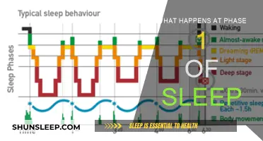 Sleep's First Phase: Brain Waves and Eye Movement