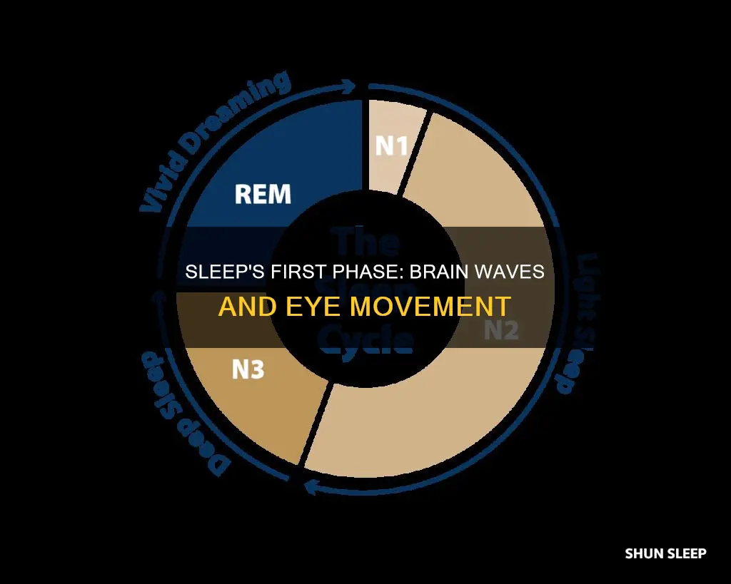 what happens at phase 1 of sleep