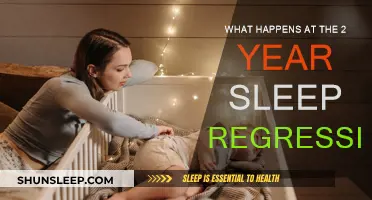 Understanding Your Toddler's 2-Year Sleep Regression