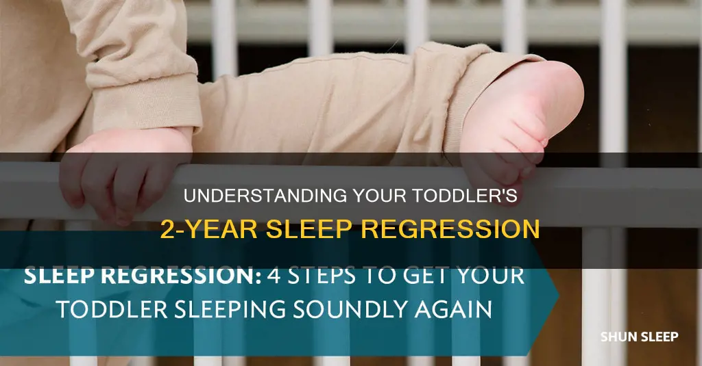 what happens at the 2 year sleep regression