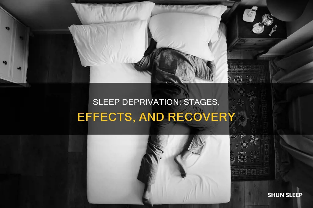 what happens at the differwnt stages if sleep deprivation
