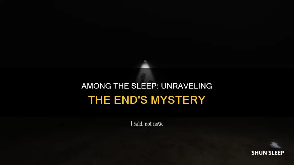 what happens at the end of among the sleep