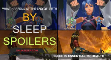 Birth by Sleep: The Tragic End Revealed