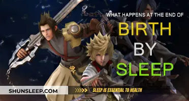 Birth by Sleep: Unraveling the End