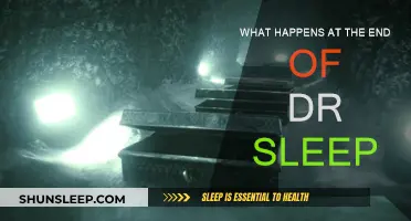 The Shining's Sequel: Dr. Sleep's Conclusion